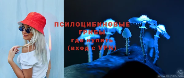 спиды Богородск