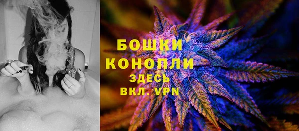 спиды Богородск