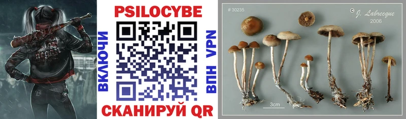 ОМГ ОМГ ссылка  дарк нет клад  Галлюциногенные грибы Magic Shrooms  магазин  наркотиков  Беслан 